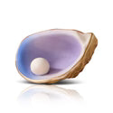 NEW!!! A435 Shuck Yeah Oyster