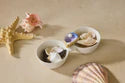 NEW!!! A435 Shuck Yeah Oyster