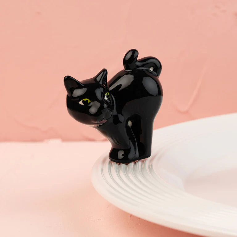 A419 - Scaredy Cat