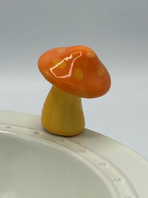 A262 - Funky Fungi Mini