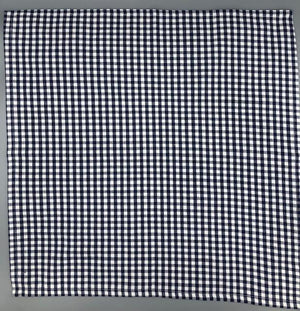 Navy Check Napkin